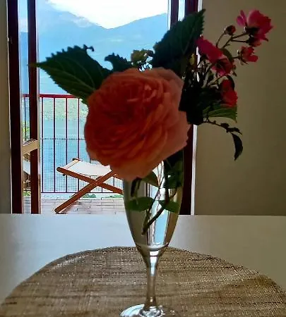 Viewtiful Homestay Apartment